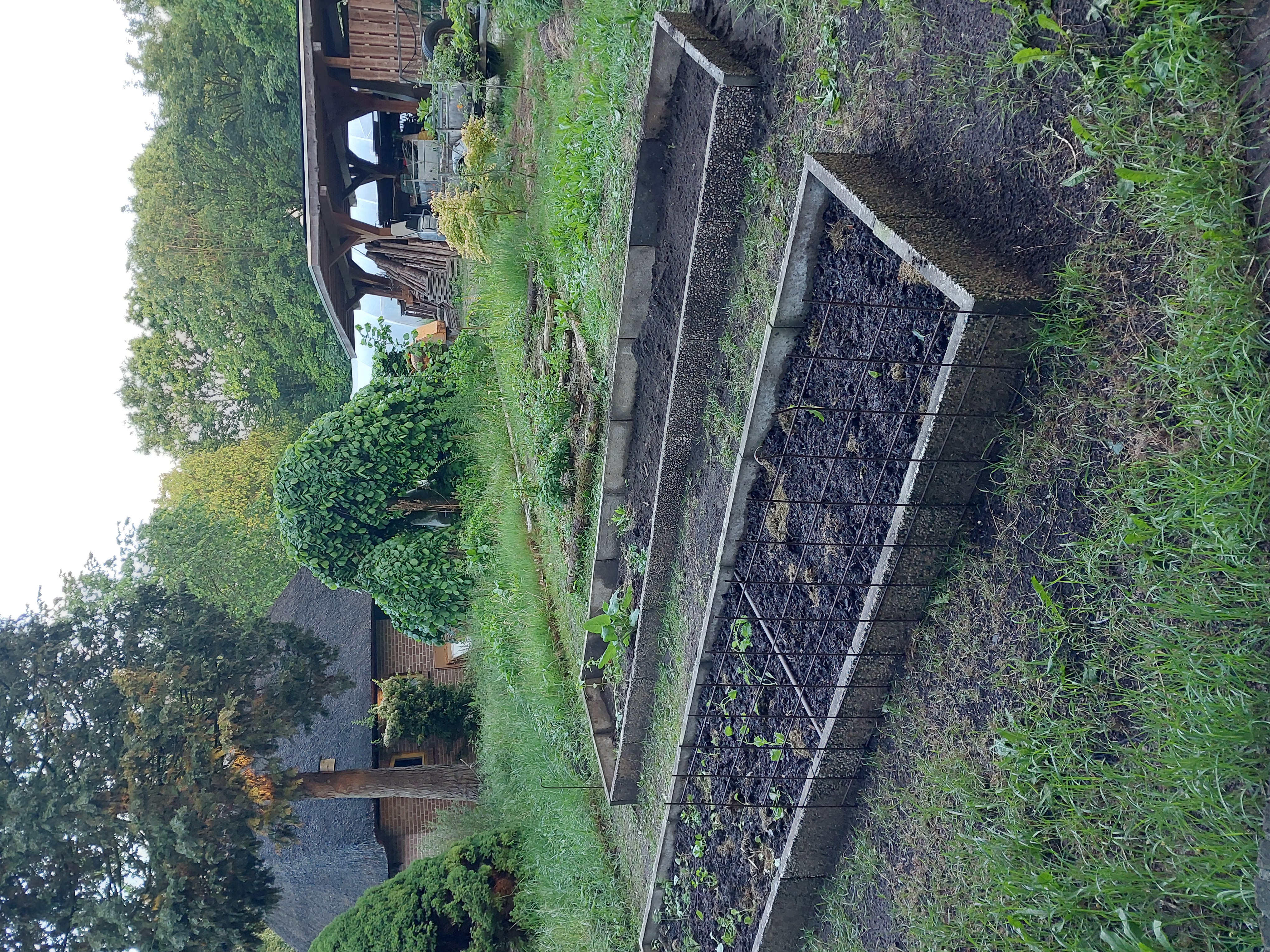 20260518_moestuinbedden.jpg